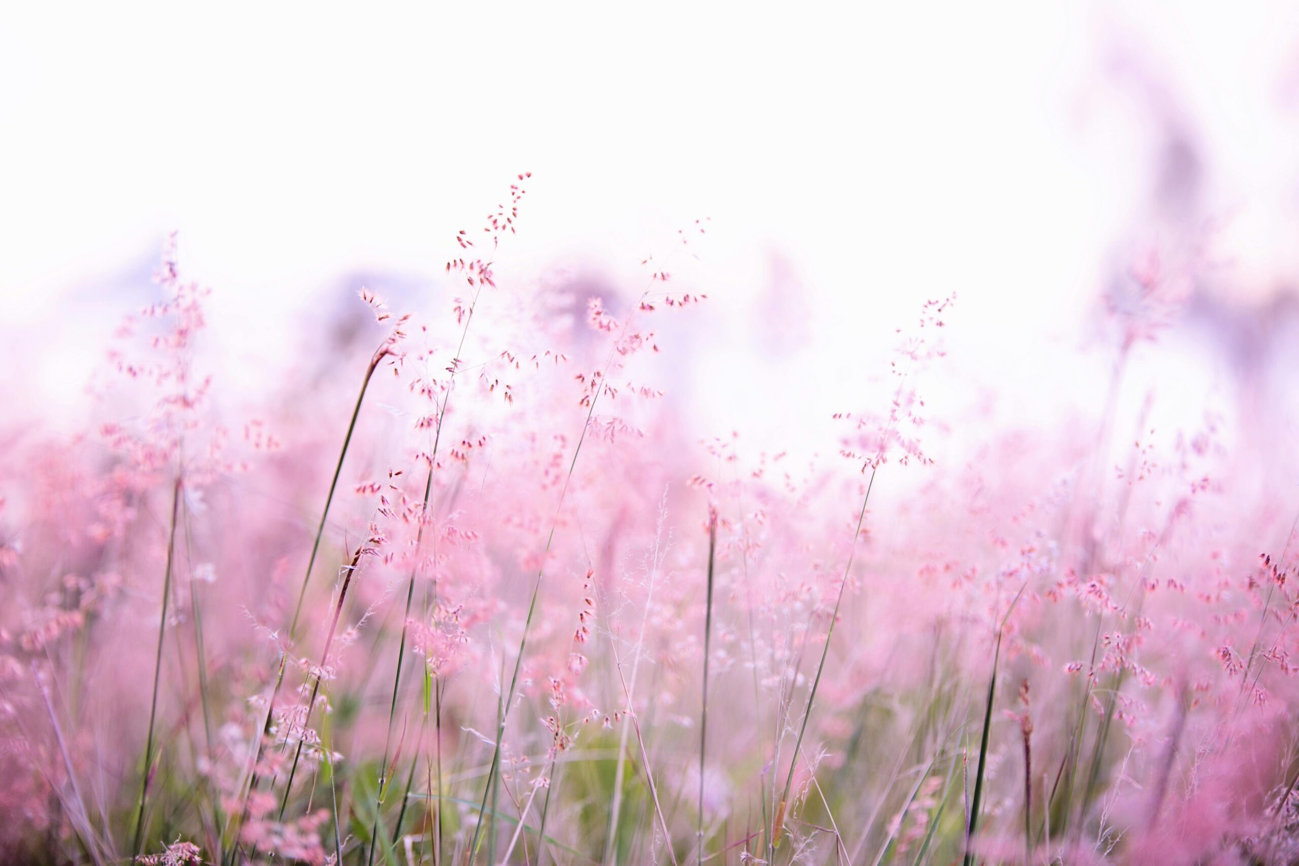 How to choose the right flowers for a wedding gift